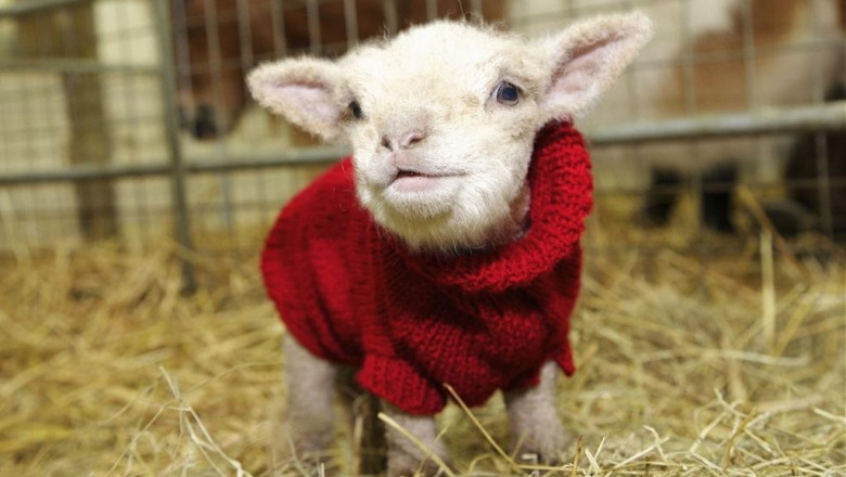 Вот и пообщались ...