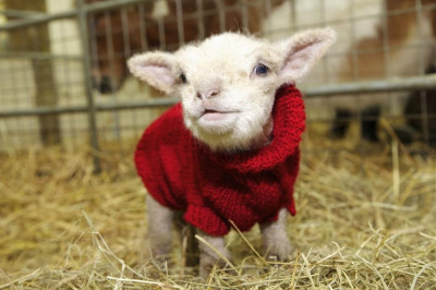 Вот и пообщались ...