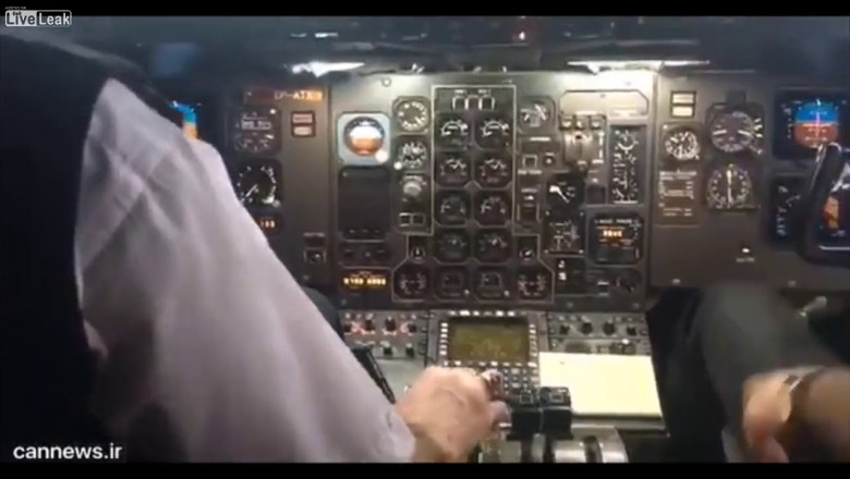 Орёл врезался в самолёт 