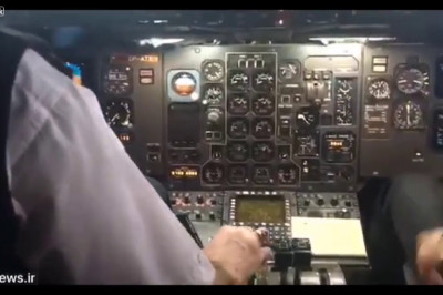 Орёл врезался в самолёт 