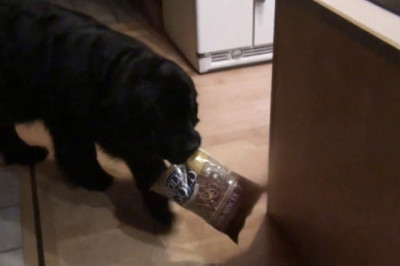 Классный помощник !