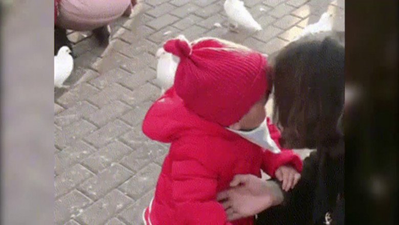 Малышка и голубь 