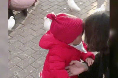 Малышка и голубь 