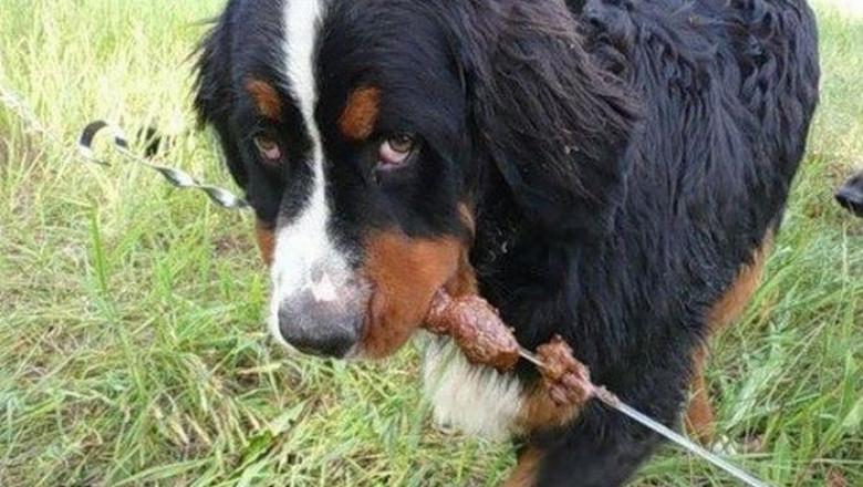 Уловил момент 