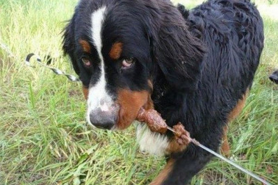 Уловил момент 