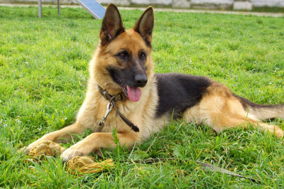 Помощь подоспела во время 