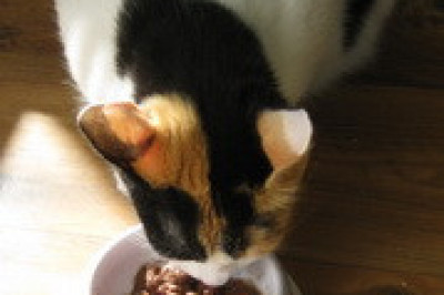 Продукт двойного назначения