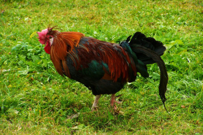 Перестарался !