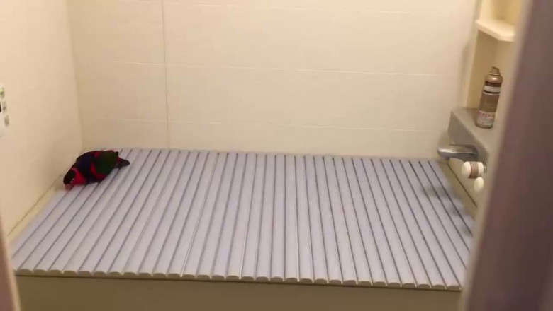 Реакция попугая на новую поверхность 