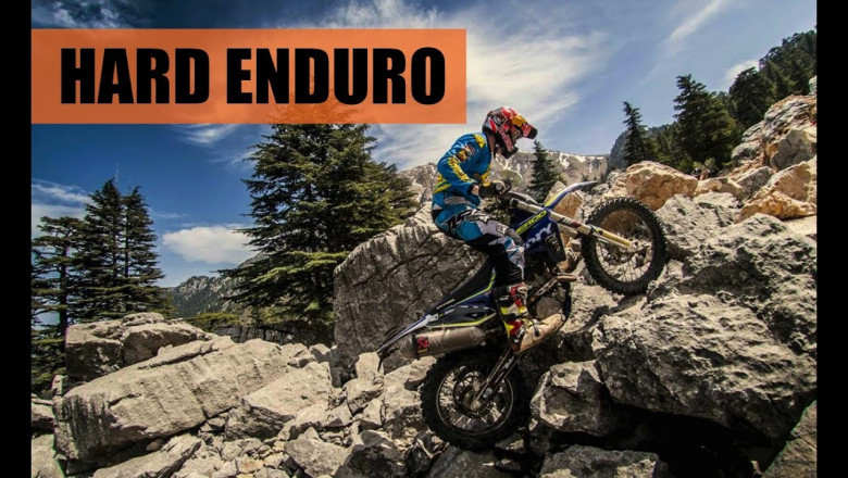 Бесстрашные мотоциклисты 