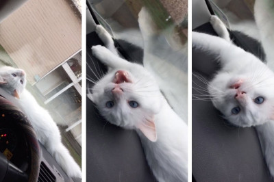 Гипнотические 