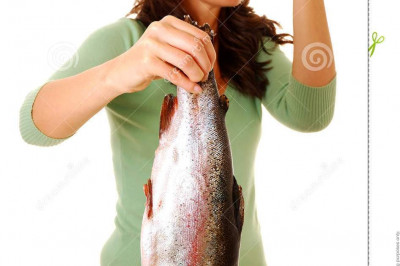 Опять вернули 