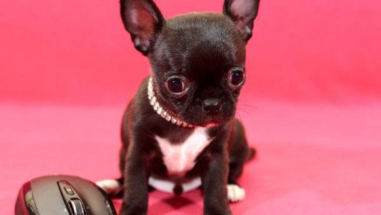 50% страха и столько же злости 