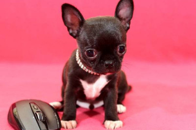 50% страха и столько же злости 