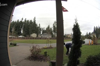 Возмездие не заставило себя ждать 