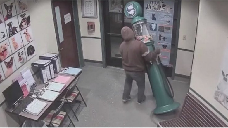 Настырность - достойная лучшего применения 