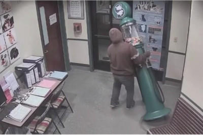 Настырность - достойная лучшего применения 