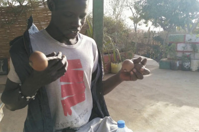 Уличный музыкант из Сенегала виртуозно играет на самодельных ударных инструментах 