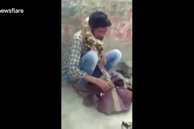 Питон придушил заклинателя змей 