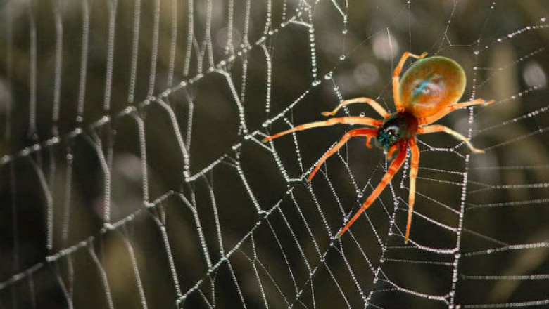 Плетение паутины 