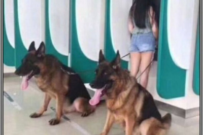 Под надежной охраной