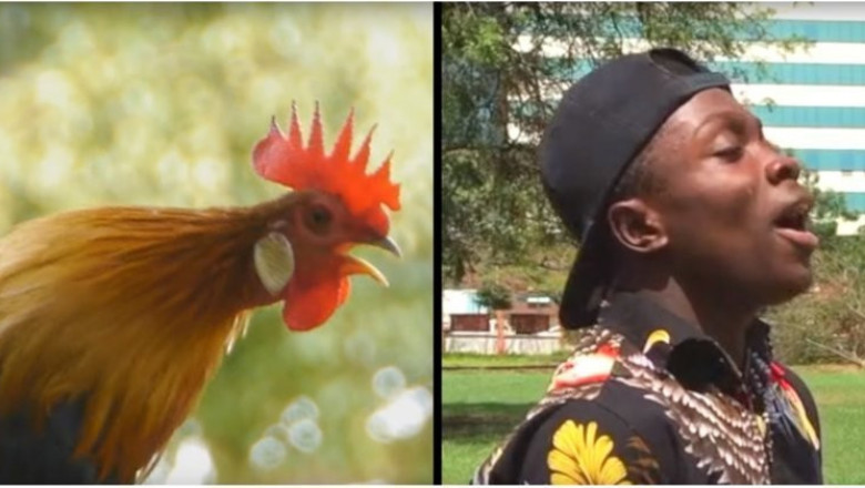 Виртуозный подражатель 