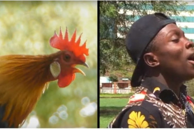 Виртуозный подражатель 