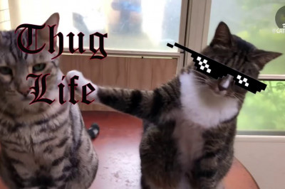 Заложил друга 