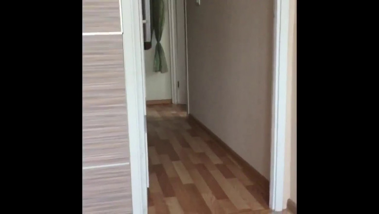 Кот , реагирующий на любые имена и клички 