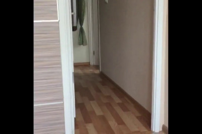 Кот , реагирующий на любые имена и клички 