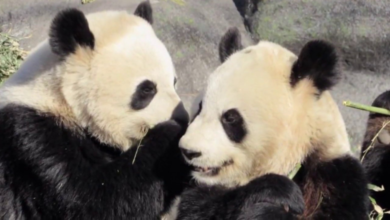 Мамина еда вкуснее 