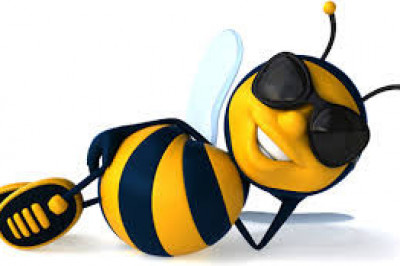Неутомимые пчелки в униформе