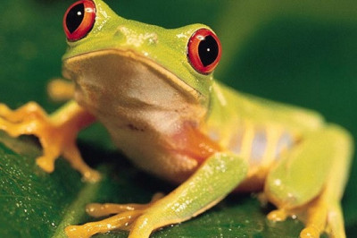 Полные карманы красоты