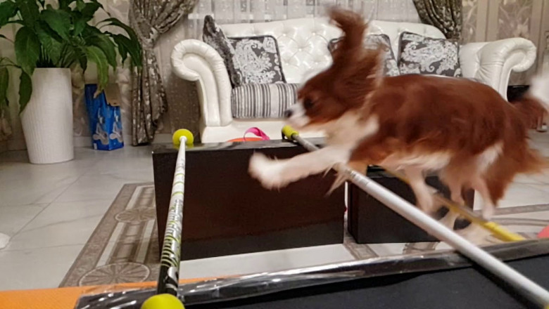 Тяжело , но прыгать надо 