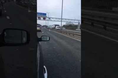 Лебедь на дороге 