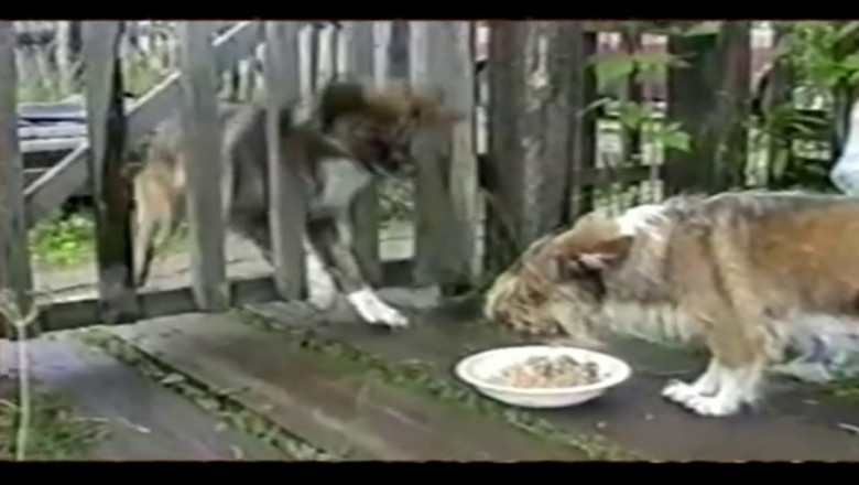 Не даёшь , так отберу !