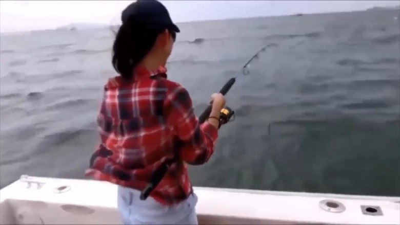 Рыболовные фейки 