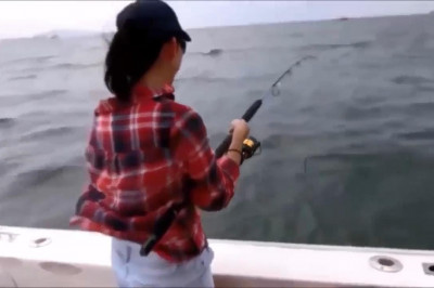 Рыболовные фейки 