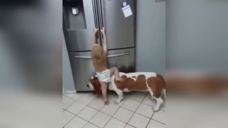 Для позитивного настроения 