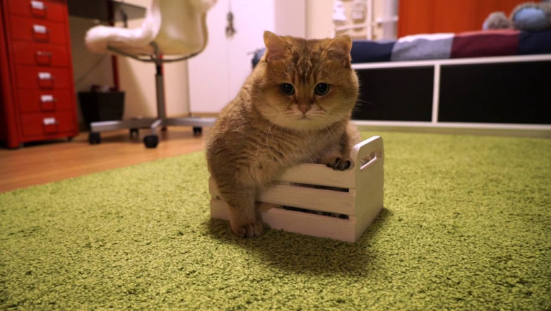 Устроился !