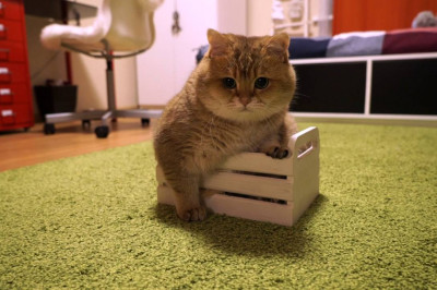 Устроился !