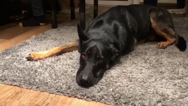 Пение под пианино 