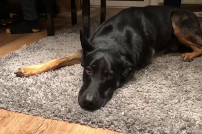 Пение под пианино 