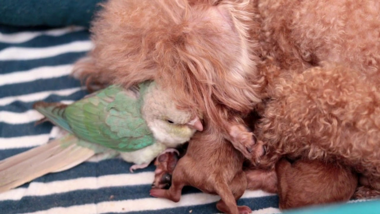 Когда очень хочется теплоты 