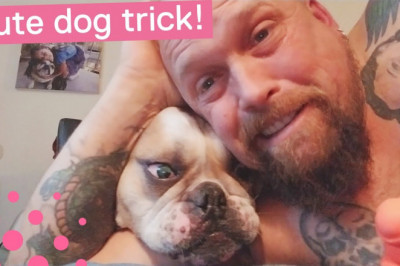 Жизнь становится веселее , когда у тебя есть четвероногий друг 