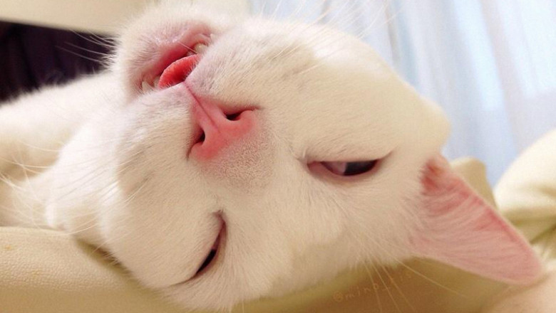 Приятный сон 