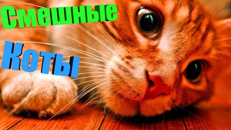 Такие смешные !