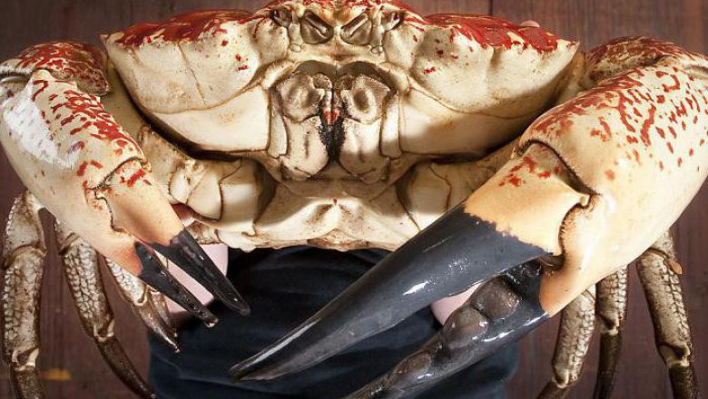 Жёсткий розыгрыш парня 