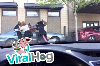 Женская разборка 