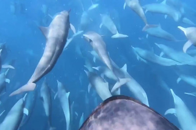 Подводный скутер 